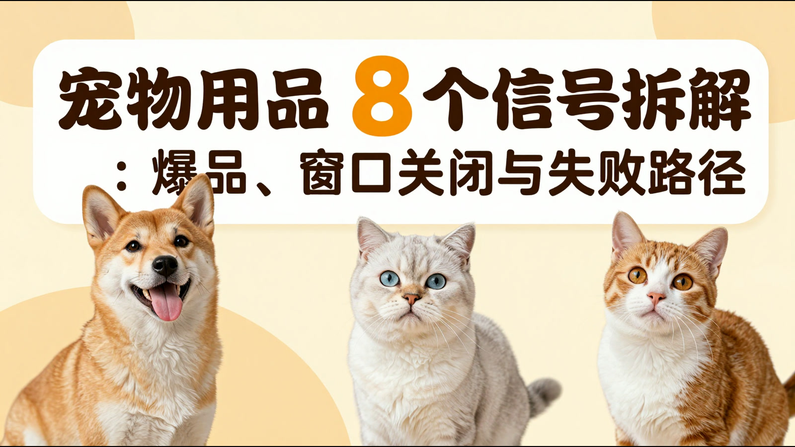 宠物用品 8 个信号拆解题图